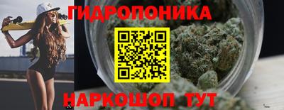дживик Лесосибирск