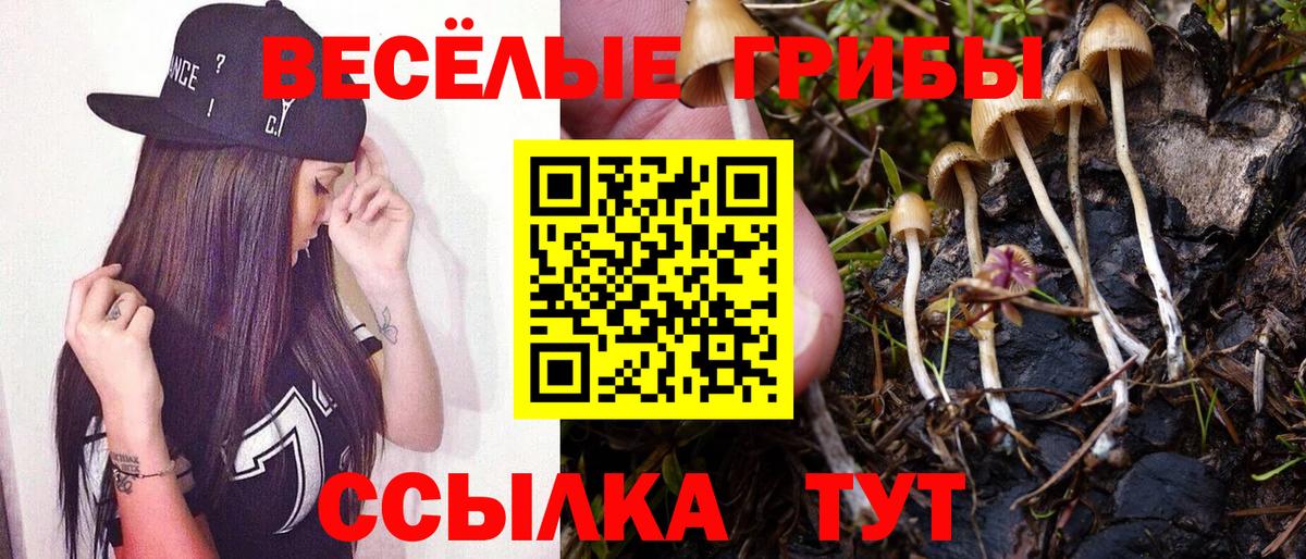 Псилоцибиновые грибы мухоморы Гусиноозёрск