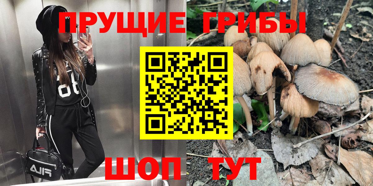 Галлюциногенные грибы Cubensis  Вход с VPN  Псилоцибиновые грибы GOLDEN TEACHER  Гусиноозёрск 